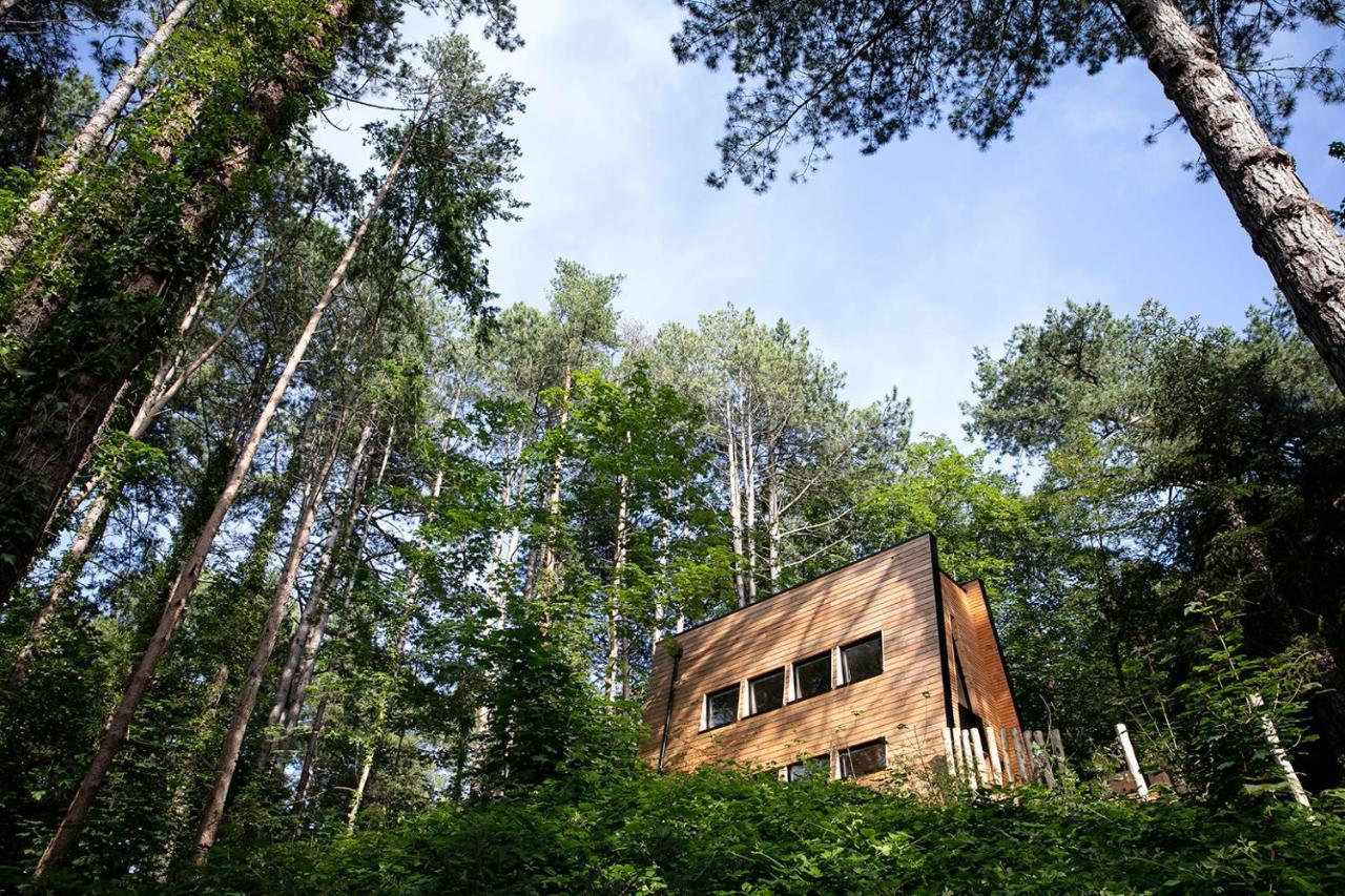 Bain De Foret - Lodges Cosy & Spa Neufchâtel-Hardelot Exteriér fotografie