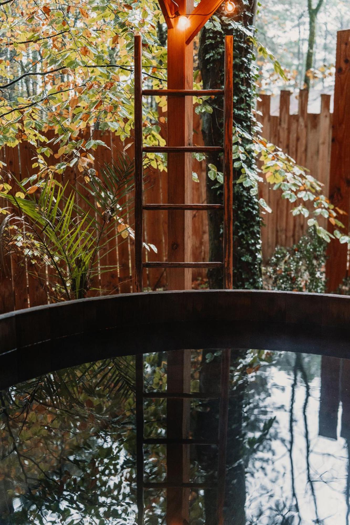 Bain De Foret - Lodges Cosy & Spa Neufchâtel-Hardelot Pokoj fotografie